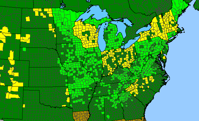 The range of Cypripedium pubescens